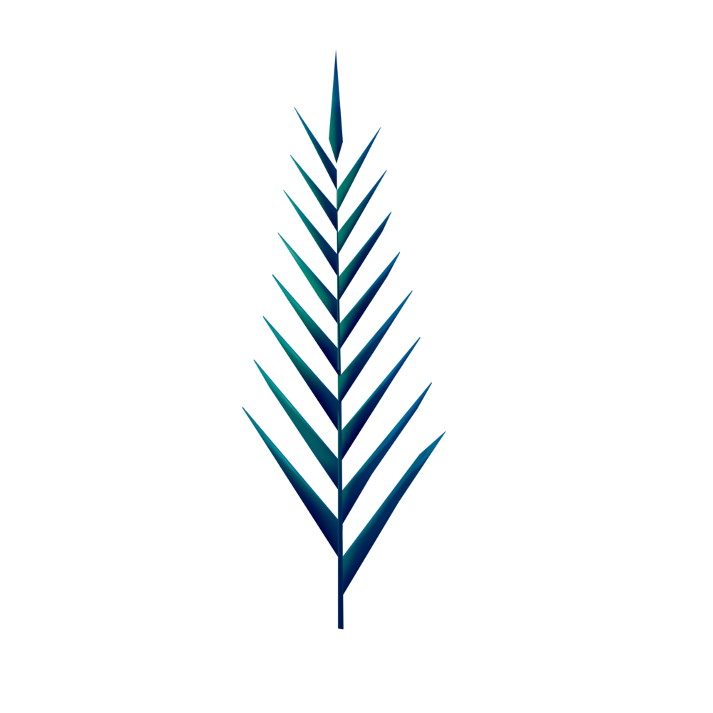 ilvasumbra-primaries