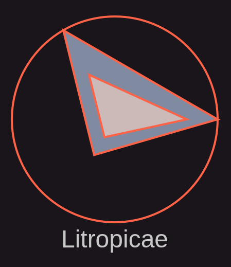 boussole-litropicae