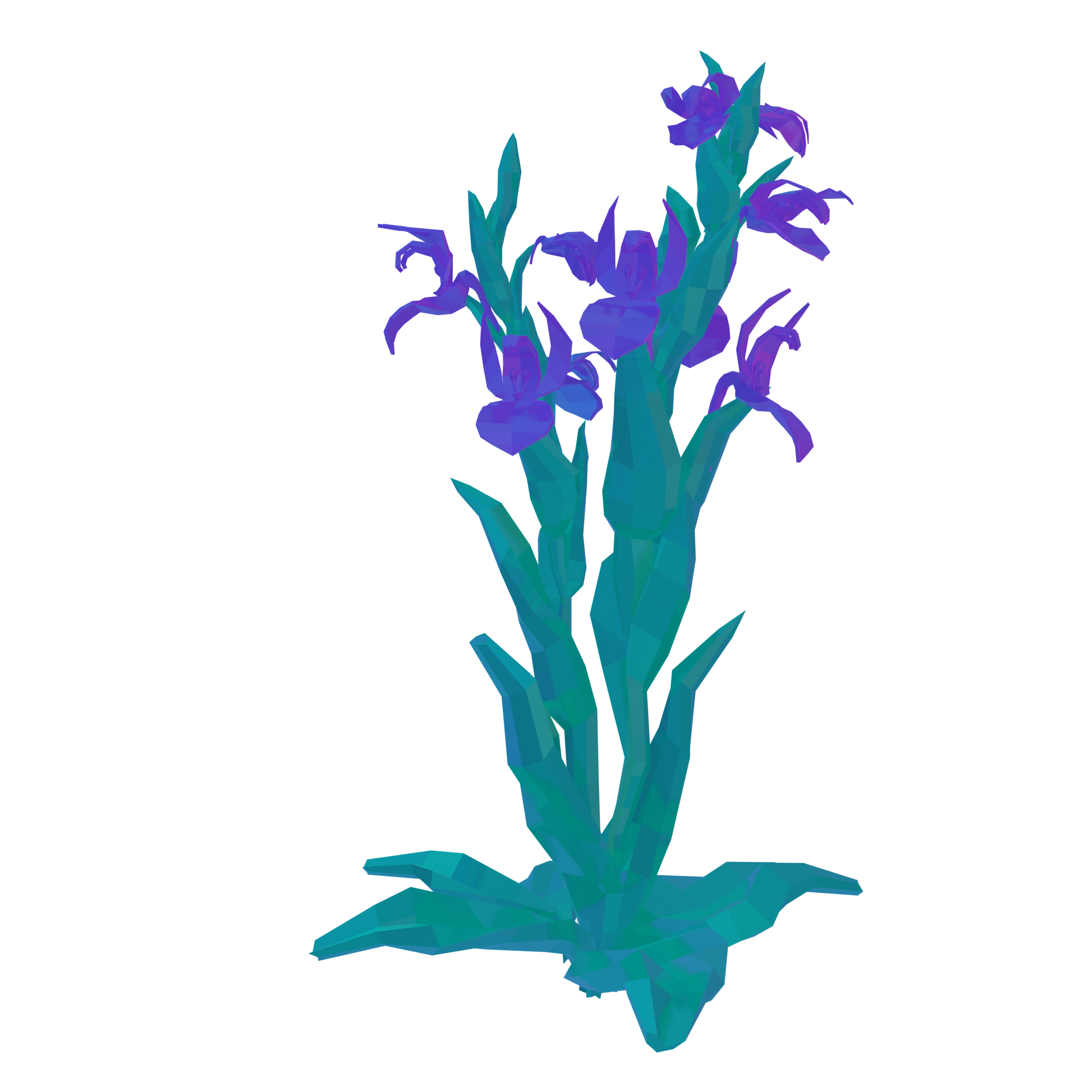 orchis des collines